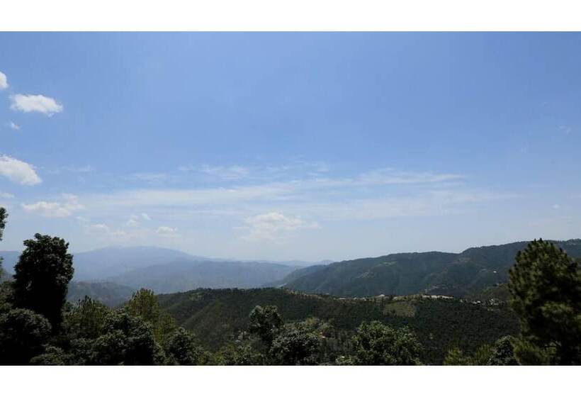 فندق Jungle Livinn