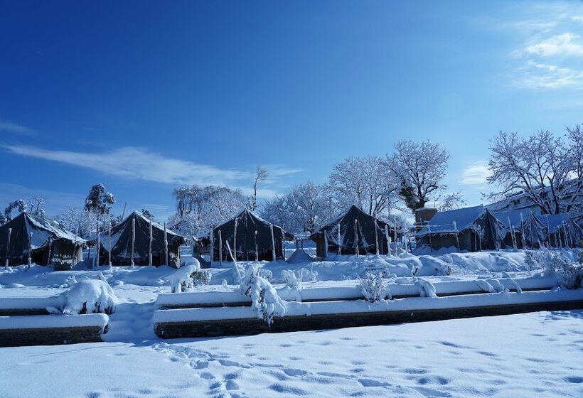 فندق Jungle Livinn