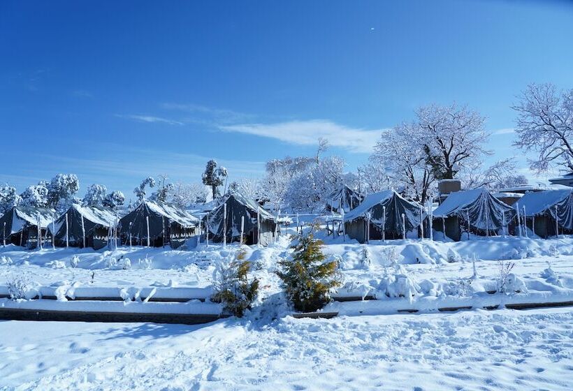 فندق Jungle Livinn