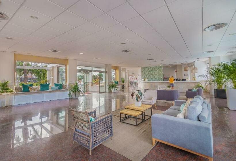 فندق Livvo Koala Garden