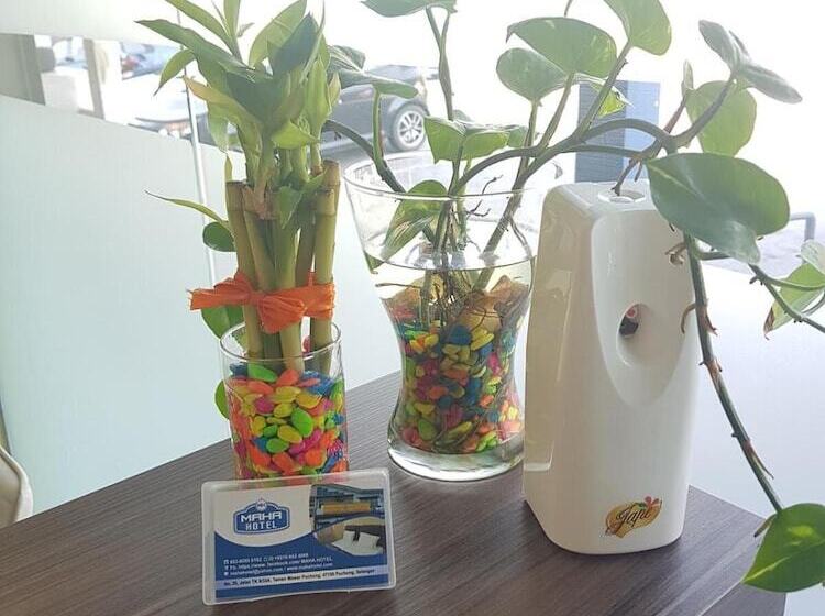 בית מלון כפרי Maha