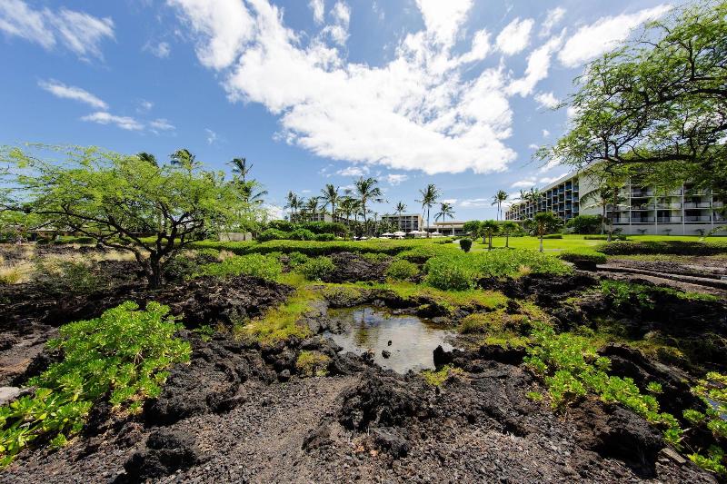 ホテル Marriott’s Waikoloa Ocean Club