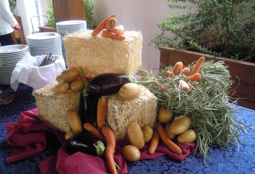 בית מלון כפרי Park