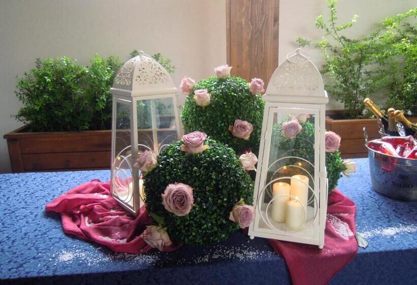 בית מלון כפרי Park