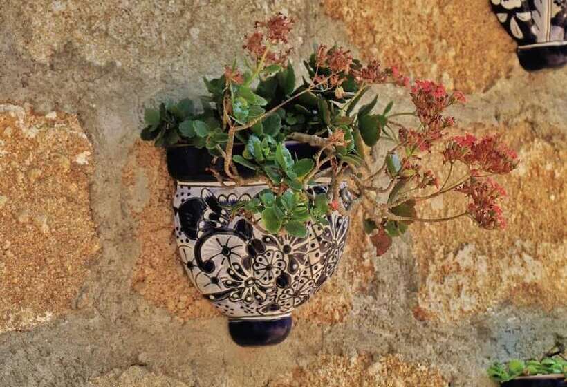 ホテル Quinta La Herradura