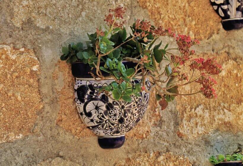 ホテル Quinta La Herradura