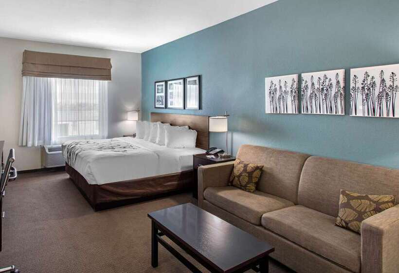 酒店 Sleep Inn Big Spring North I 20