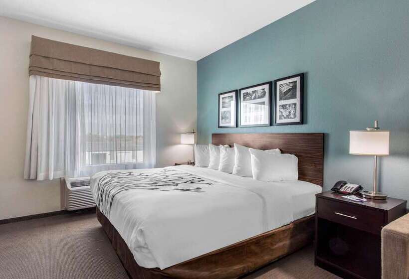 ホテル Sleep Inn Big Spring North I 20