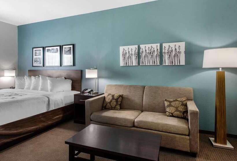 ホテル Sleep Inn Big Spring North I 20
