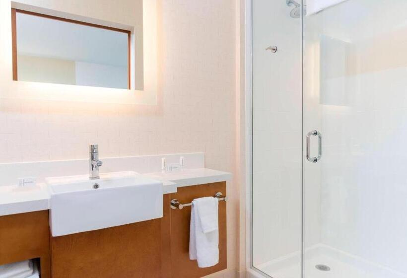 בית מלון כפרי Springhill Suites By Marriott Chicago Southeast/munster, In