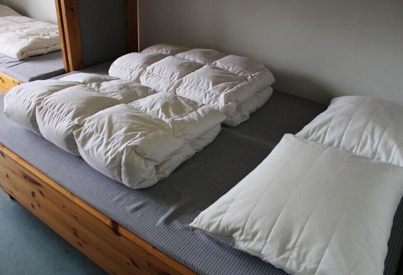 בית מלון כפרי Danhostel Aalborg