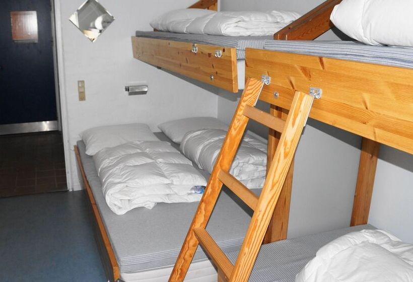 هتل Danhostel Aalborg