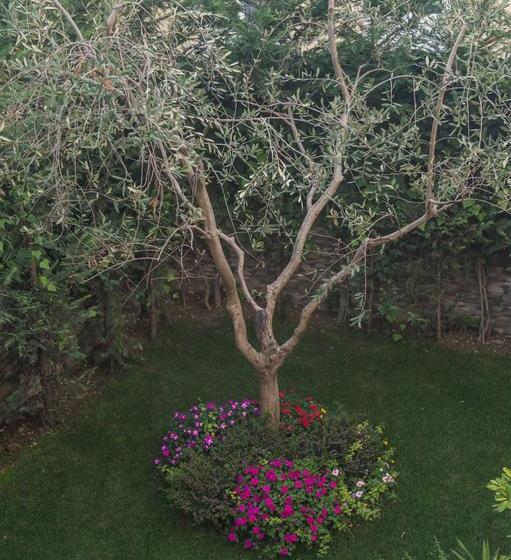 בית מלון כפרי Vila Bregu