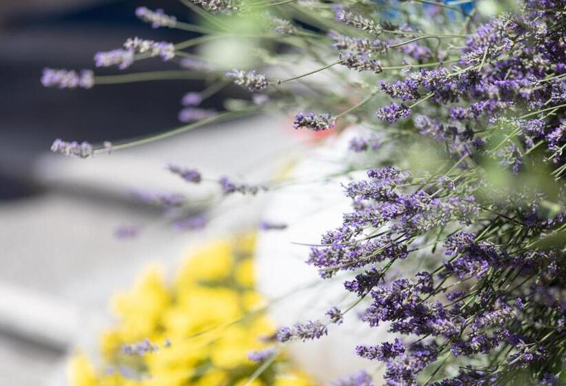 ホテル Villa Aspe