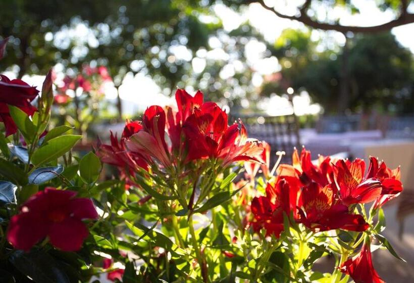 فندق Villa Barbat