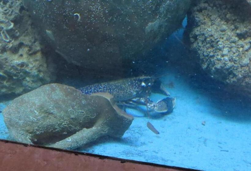 فندق Villa Barbat