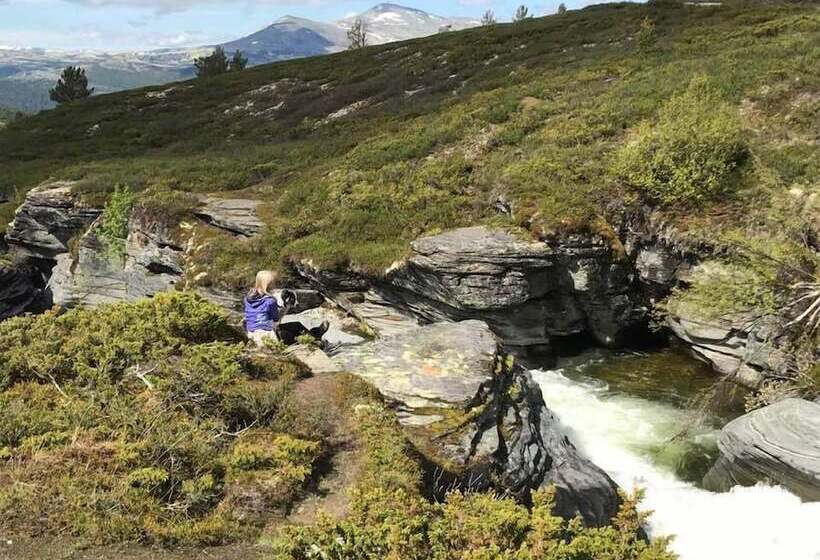 Høvringen Høgfjellshotell