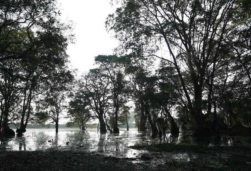 Kaveri Resort Sigiriya