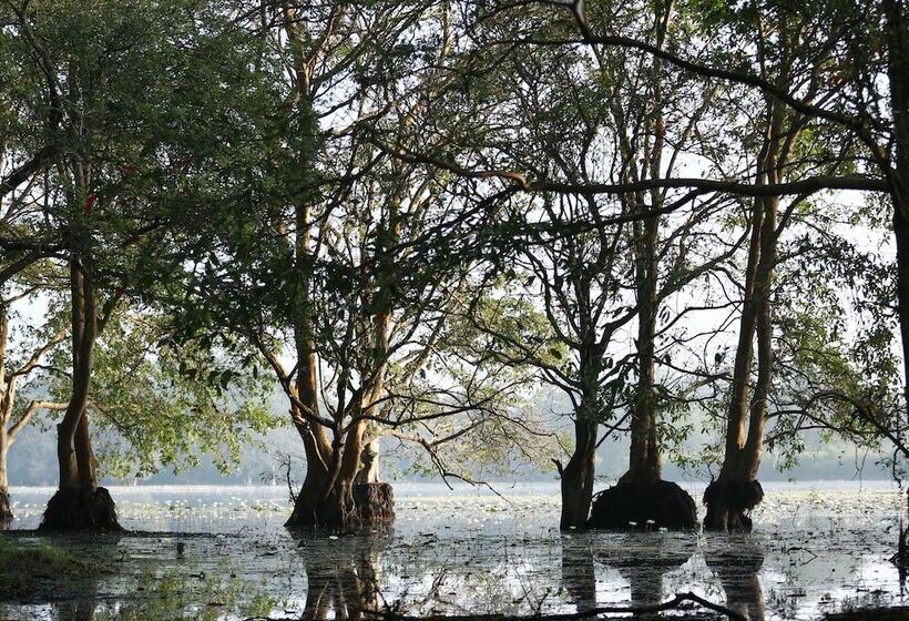 Kaveri Resort Sigiriya