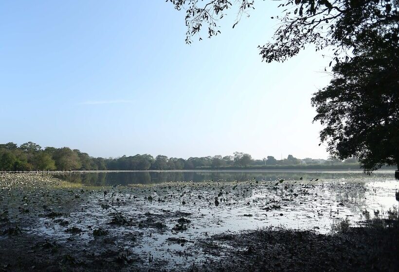 Kaveri Resort Sigiriya