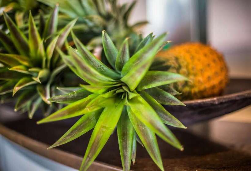 استراحتگاه Tamanu On The Beach