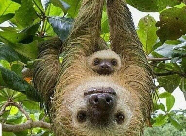 ベッドアンドブレックファースト Casa Marbella