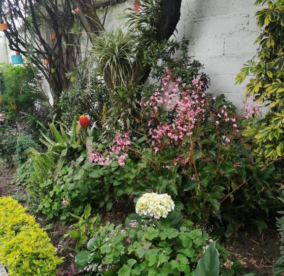 Bed & Breakfast Casatodosantos