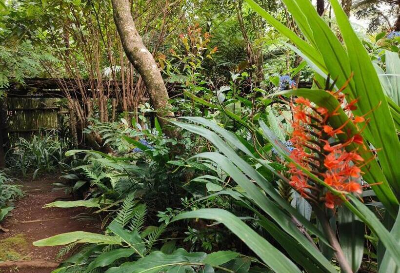 צימר Dar Amane Guest House