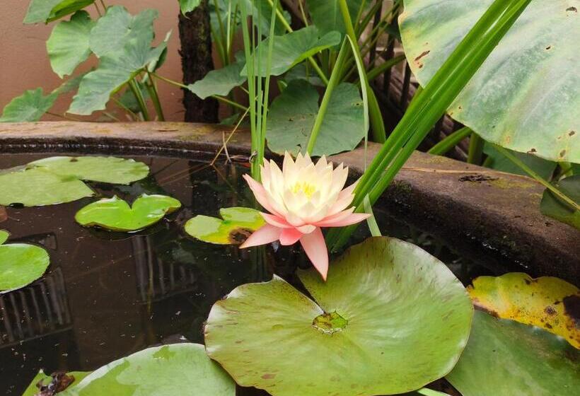 צימר Dar Amane Guest House