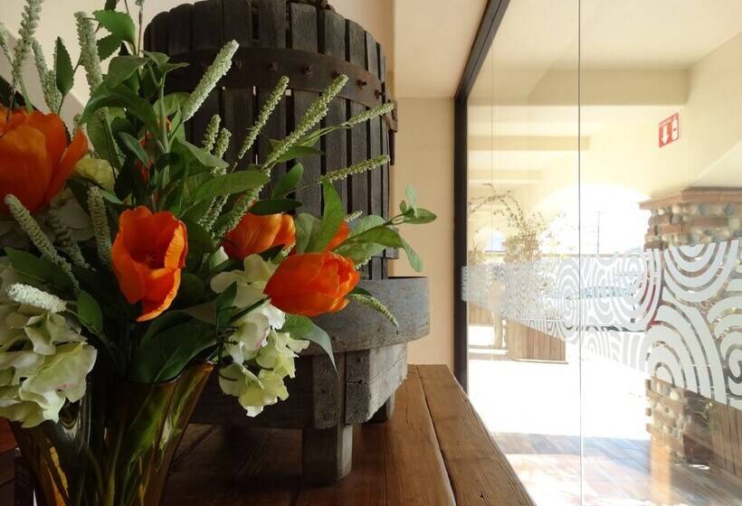 酒店 Hacienda Santana