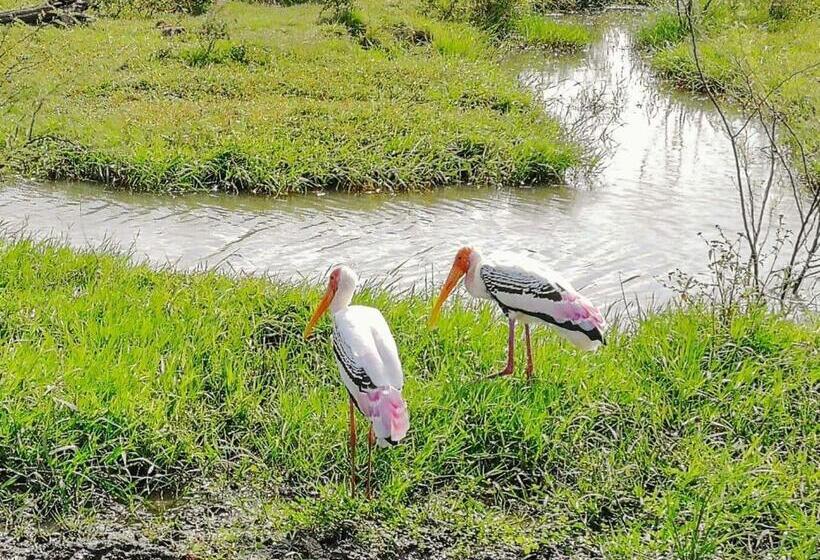 Hotel Sandalwood Cottage