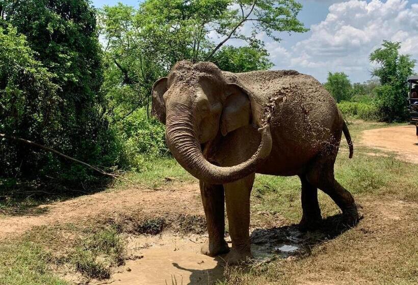 Hotel Sandalwood Cottage