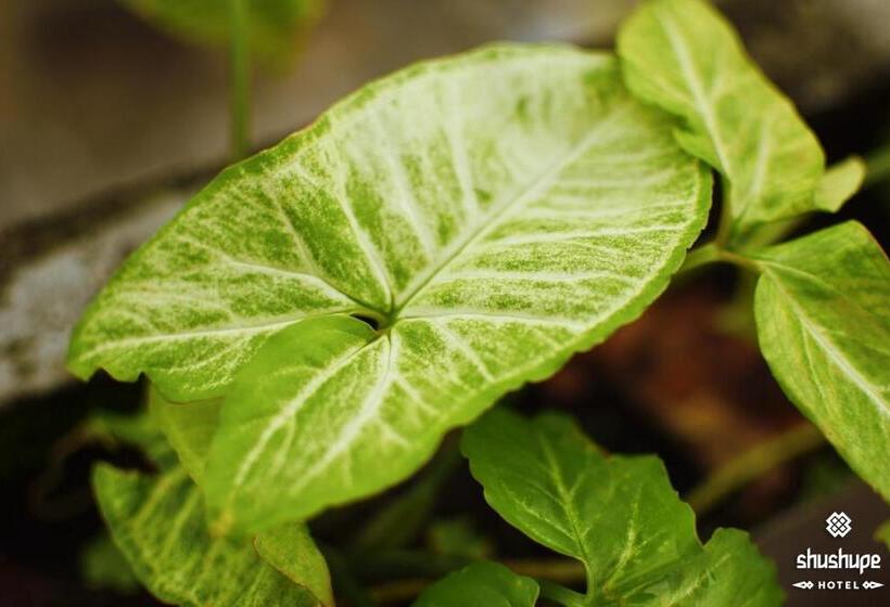 בית מלון כפרי Shushupe