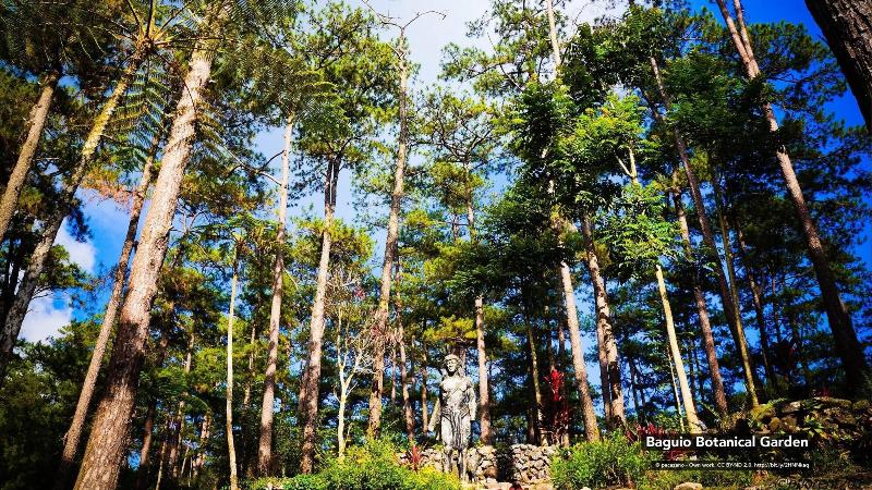 فندق The Podium Boutique