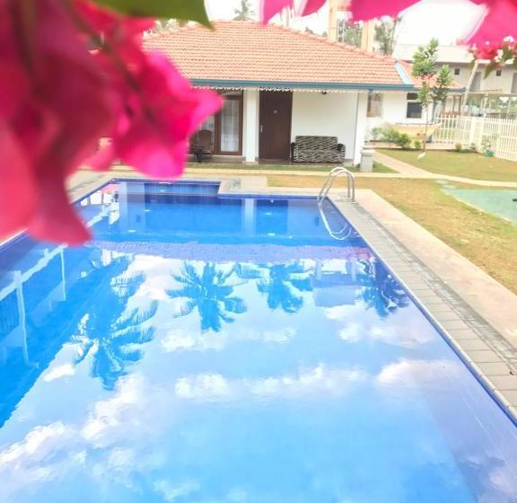 בית מלון כפרי White Rose Beach Resort