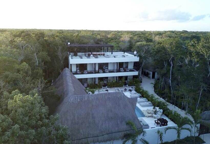 호텔 Xcacel Dreams