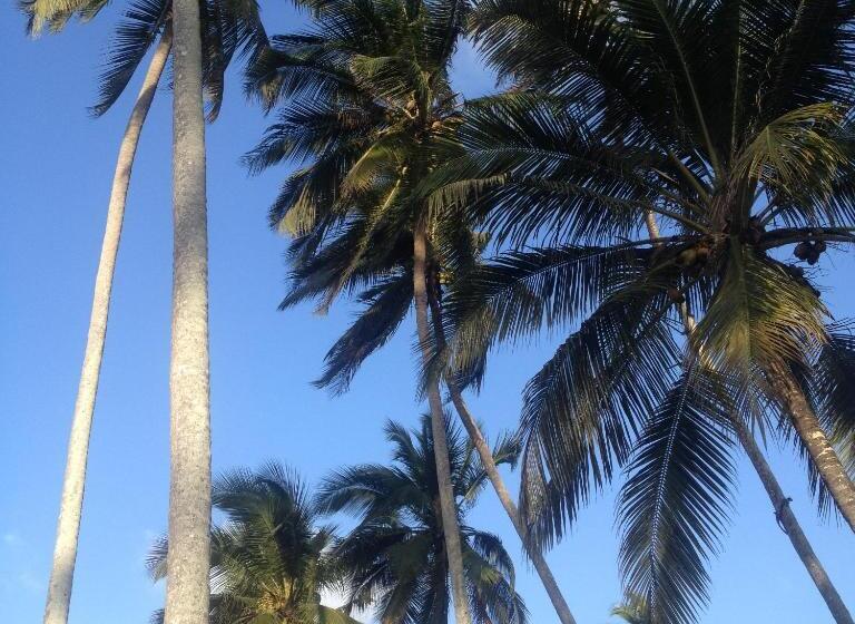 ホテル Zanzibar Magic Boutique