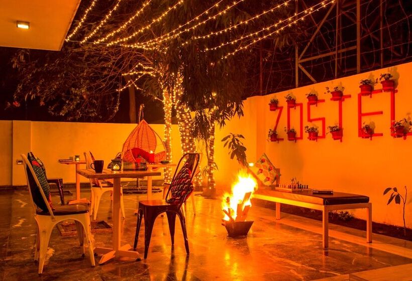 Zostel South Delhi   Hostel
