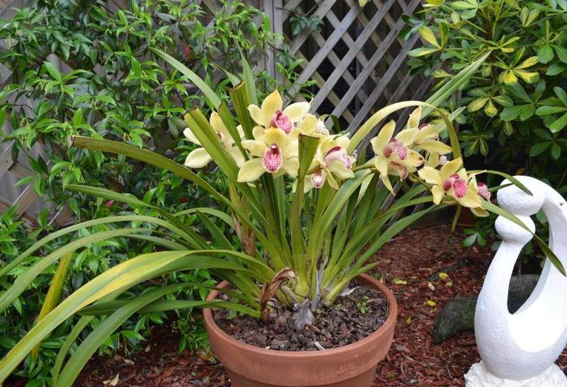 تختخواب و صبحانه Annie's Bnb At 7c