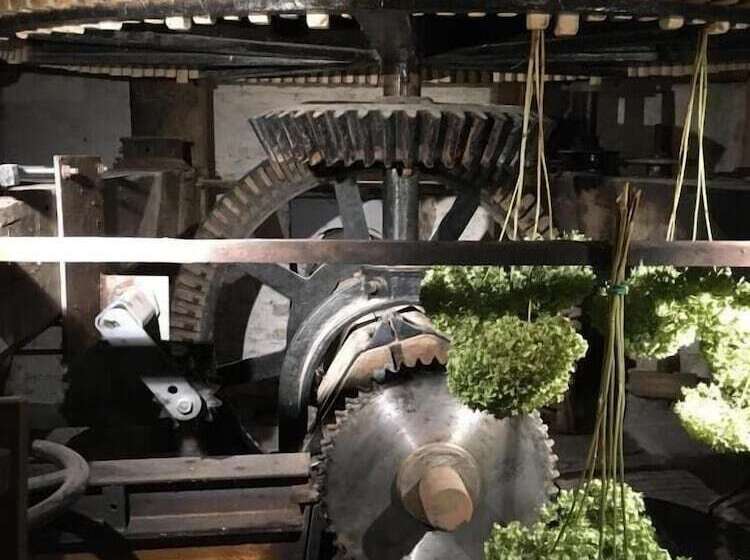 مبيت وإفطار De Ruttermolen