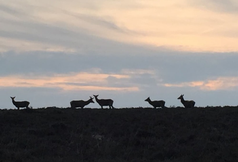 住宿加早餐  Exmoor House
