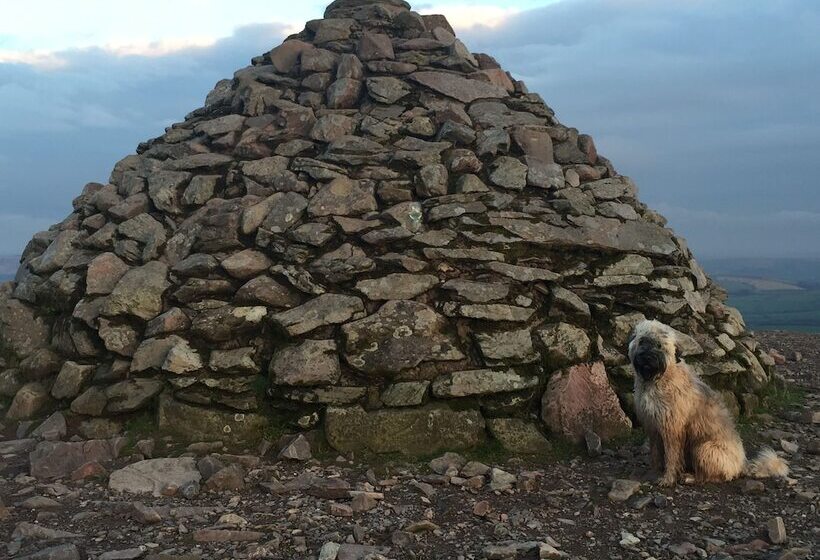 住宿加早餐  Exmoor House
