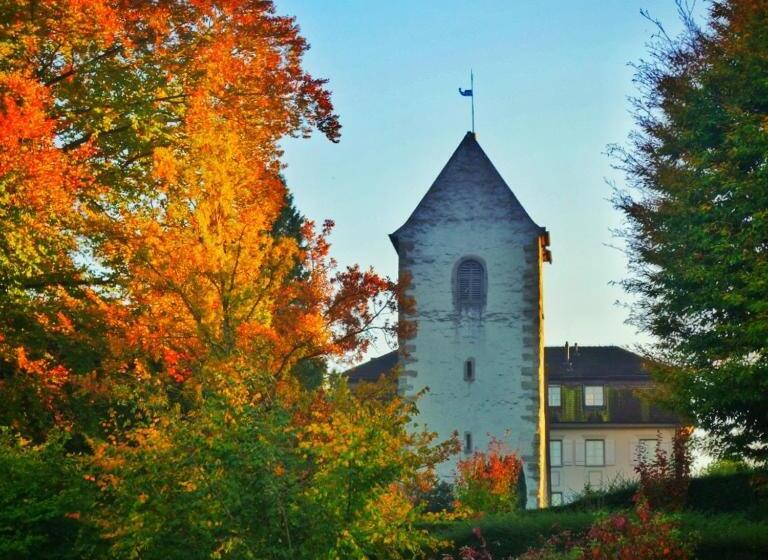 Bed and Breakfast Lakelodge Romanshorn