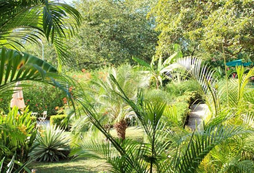 تختخواب و صبحانه Tee K Lodge Tamarindo
