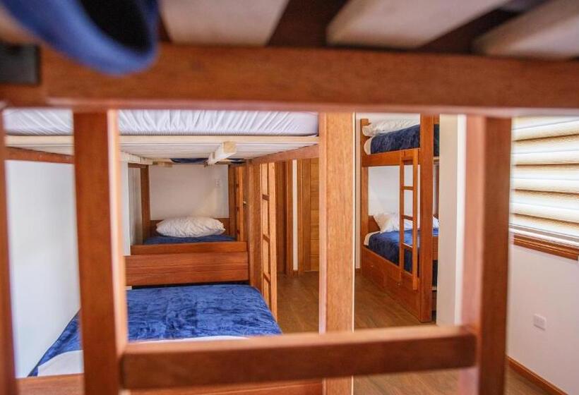 Community Hostel Alausi