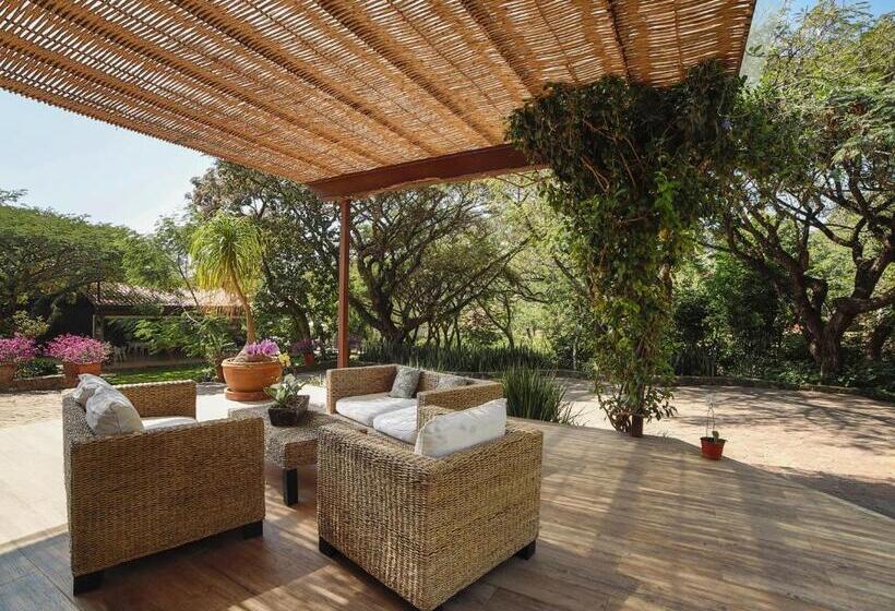 酒店 Amate Del Rio