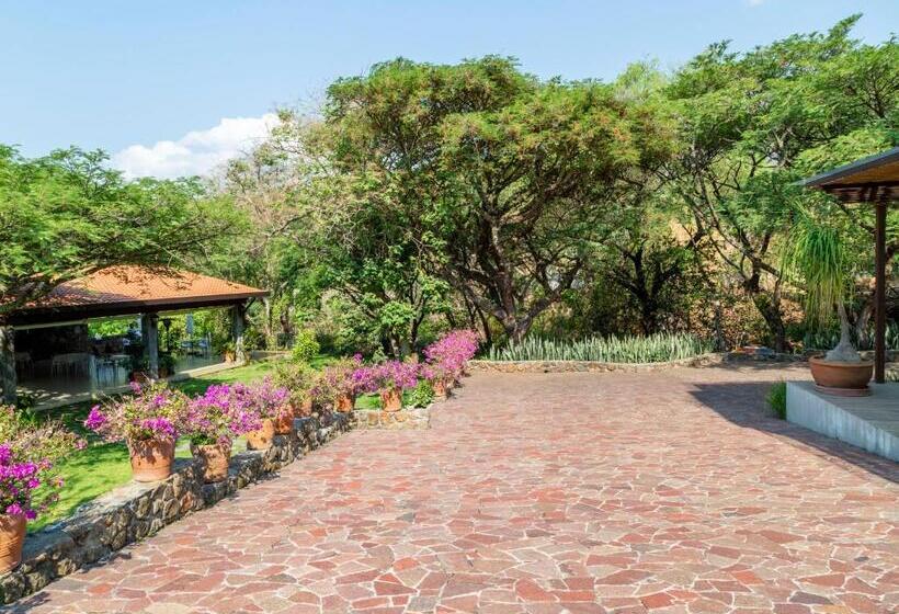 هتل Amate Del Rio