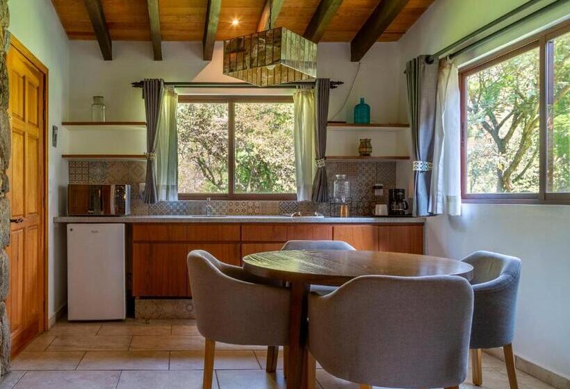 酒店 Amate Del Rio