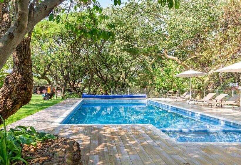 酒店 Amate Del Rio