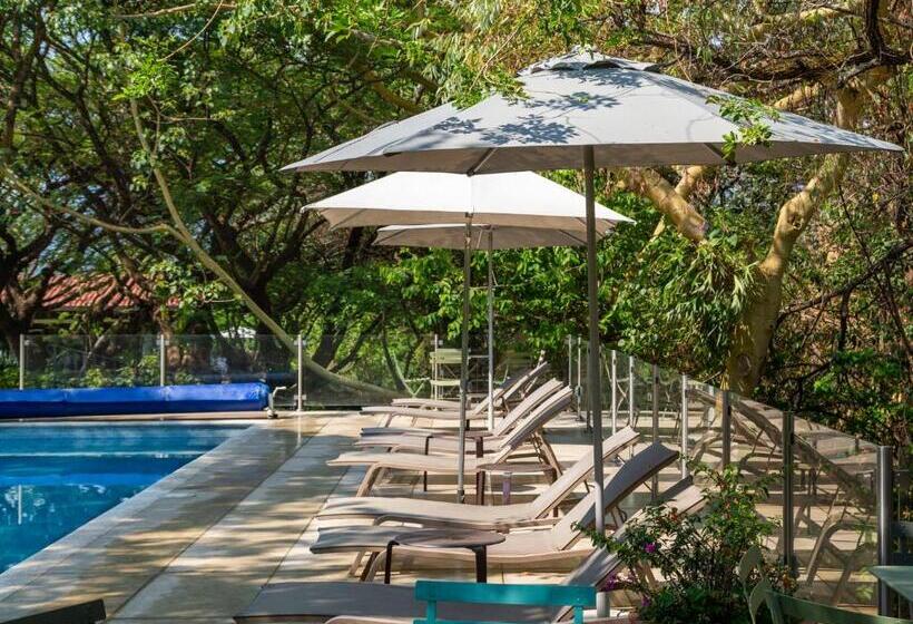 酒店 Amate Del Rio